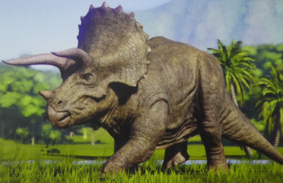 Triceratops